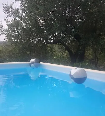 Trulli Belvedere 住宿加早餐酒店 普蒂尼亚诺